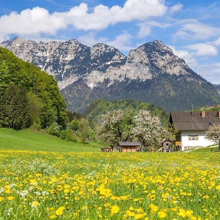 Gaestehaus Anfanglehen 람사우 외부 사진