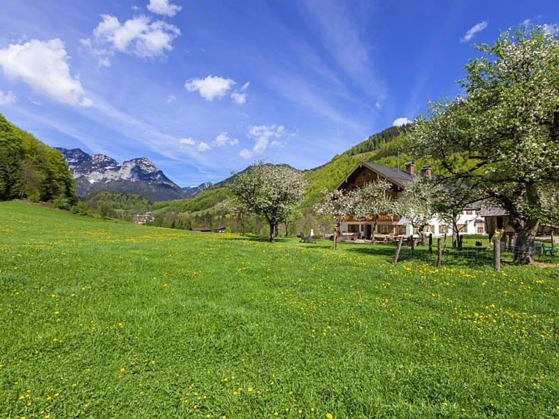 Gaestehaus Anfanglehen 람사우 외부 사진