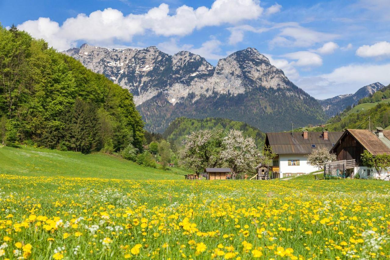 Gaestehaus Anfanglehen 람사우 외부 사진